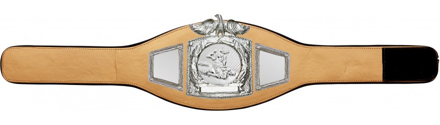 PROEAGLE MMA CHAMPIONSHIP BELT - PROEAGLE/S/MMAS - AVAILABLE IN 6+ COLOURS